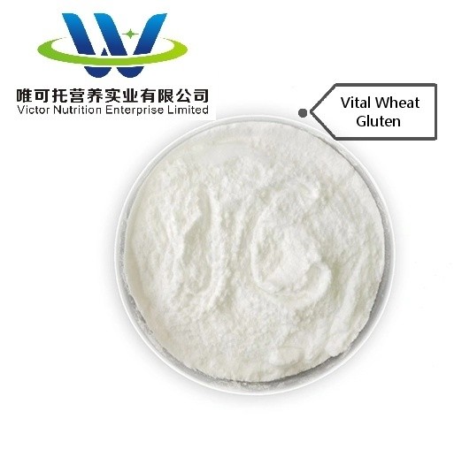 BV Certification GMP Vital Wheat Gluten Food Grade for Bread Improve Your Bread Sales