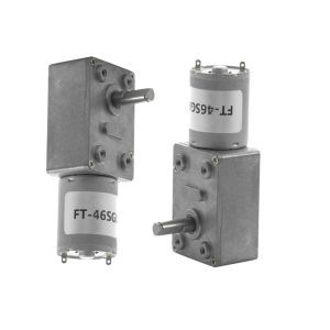 FT-46SGM370 Dc Brush Motor 24 Volt Worm Gear Dc Motor