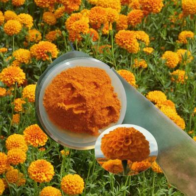 ODM Poudre de lutéine pure en vrac pour l'industrie alimentaire Cas 127-40-2 Cas 547-17-1