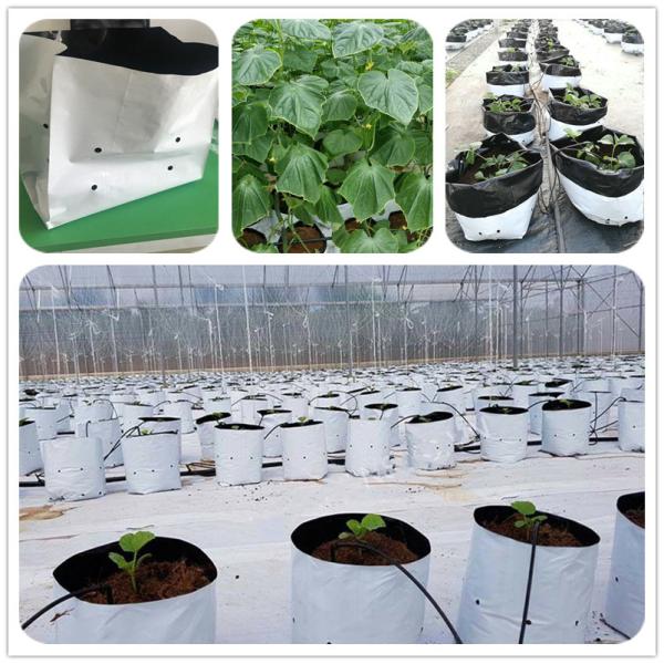 PE Coated Accessories Rectangular Plastic Dutch Bucket for Hydroponic Tomato Growing