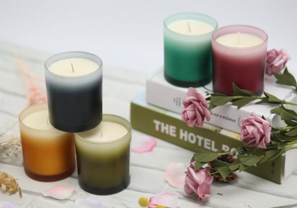 Colorful Decorative Scented Candles / Two Wick Scented Candles Frosted Glass Jar