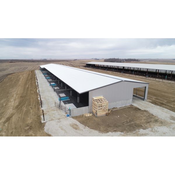 Open House Design Custom Steel Structure Prefab Cattle Farm Shed With Roof Ventilation