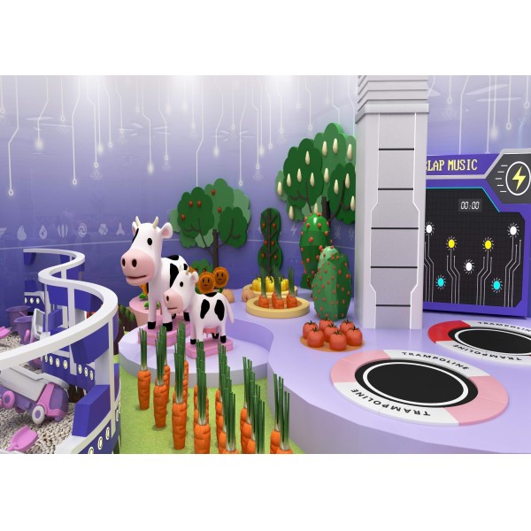 Galvanized Steel Frame Private Indoor Playground for Home Villa