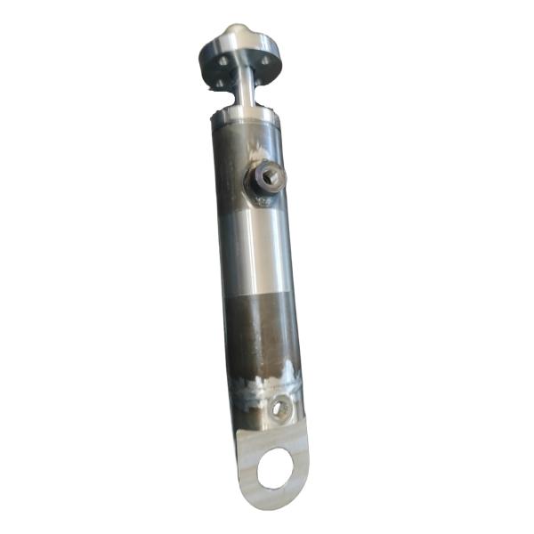 Stainless Steel Hydraulic Cylinder 25MPa 102mm Tube 250mm Stroke