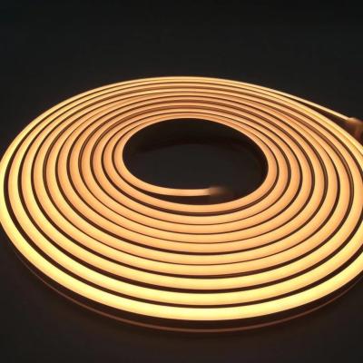1010 conduziu a luz de tira conduzida exterior impermeável de néon do silicone das luzes IP67