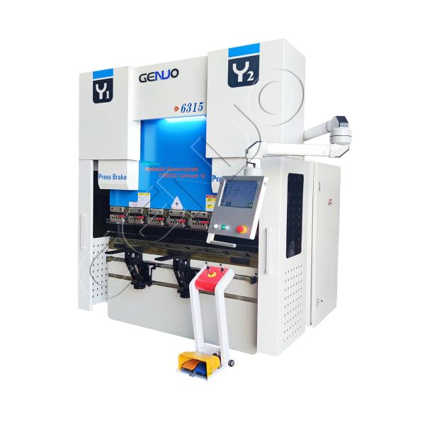 Sheet Metal Processing Made Easy Electric Hydraulic CNC Press Brake with 260mm Throat Depth and End Forming Services