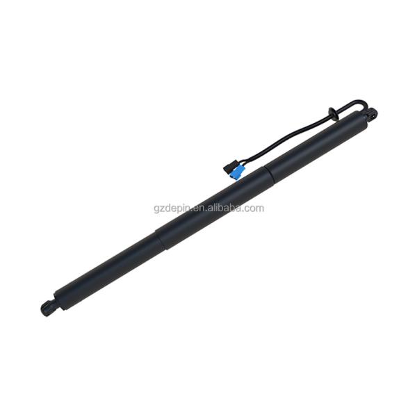 Porta de elevação de potência automática para BMW X2 F39 1988-1995 51249465654 Porta traseira elétrica