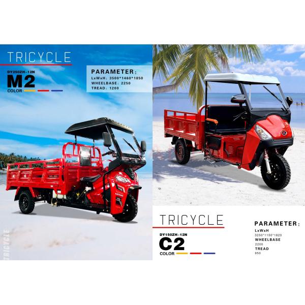 800 Вт полукабинный моторизованный грузовой трехколесный велосипед с закрытой кабиной и пластиковым грузовым крышкой