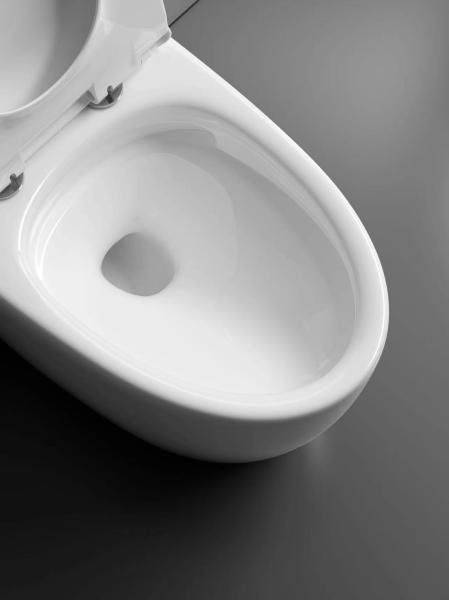 Ceramic WC Sanitary Ware One Piece Toilet Electronic Automatic Bathroom Smart One Piece Floor Smart Intelligent WC Toilets