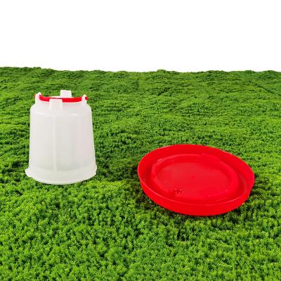 Pequeno bebedouro de aves de capoeira em forma de cone para maximizar a eficiência da rega