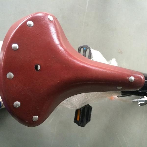 26 Inch Cruiser Bicycle Gasoline Motor Bike Engine with 2-Stroke 50CC Displacement
