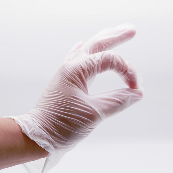 Medical Examination Food Grade Restaurant Household Tattoo Gloves Disposable Clear Vinyl Gloves Powder Free