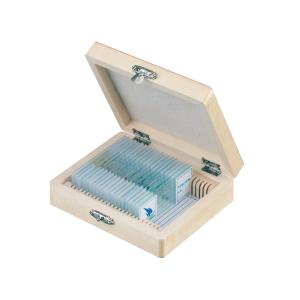 Prepared Microscope Slides