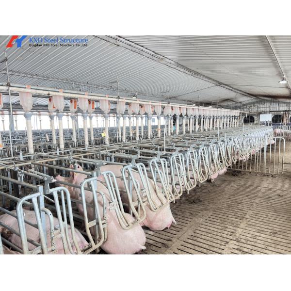 Prefabricated Steel Poultry Shed Long Span Steel Livestock Buildings