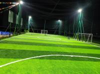 Relvado artificial do futebol do alto densidade 55mm com almofada de choque