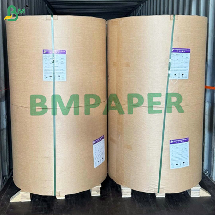 Food-Grade 170-320gsm Cup Stock Paper Extruded with PE 15 MIC  for Disposable Coffee Cups