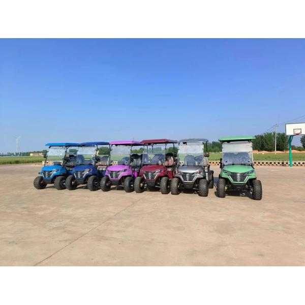 EPS Power Steering Electric Golf Buggy IP65 Waterproof Long Battery Life