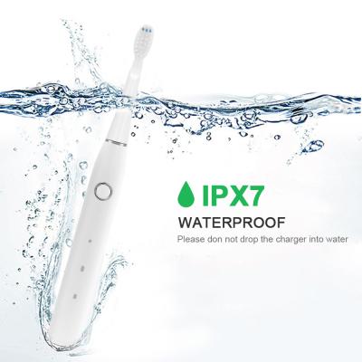 Desgaste portátil magro de Sonic Automatic Toothbrush 500mAh - resistente