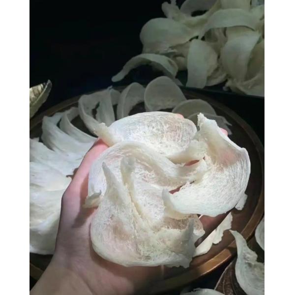 Comida tradicional china para el nido de aves Nutrición para el nido de golondrinas