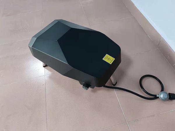 15kgs Small Pizza Oven Gas  305mm Portable Pizza Oven Gas With Stainless Steel