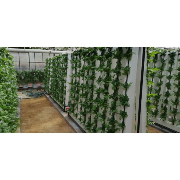 Family Spiral Plant Grow Hydroponic Tower Indoor Vegetable Cultivation Hydroponic
