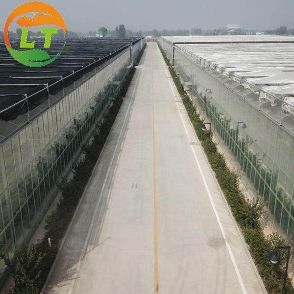 Estufas agrícolas multiespan com aço galvanizado a quente e sistema inteligente