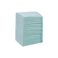 Super Absorvente Pet Piss Pads Proof Leak Extra Large Puppy Piss Pads cor personalizada