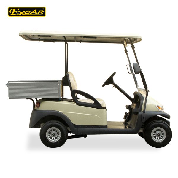 2 Passenger Electric Utility Carts / Cargo Golf Buggy Car With 350A USA Curties Controller