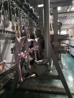 PLC制御の食鳥処理ラインとステンレス鋼304材で鶏肉処理を効率化