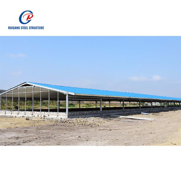 Customized Modern Farmhouse Prefab Steel Cowshed Goat House Sheep Shed Low-Cost Prefabricated Steel Structure Buildings