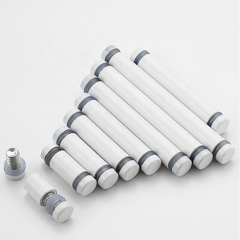 Stainless Steel Double Head Advertising Screw for Acrylic Glass Standoff Spacer 12*30mm M8 Passivated