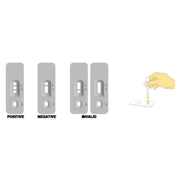 Serum Or Plasma Ebola Diagnostic Test Ebola Virus Antibody Rtk