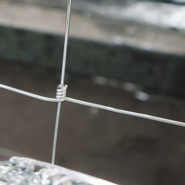 10m-30m Galvanized Grassland Wire Mesh Fence Netting For Sheep Field Deer Farm