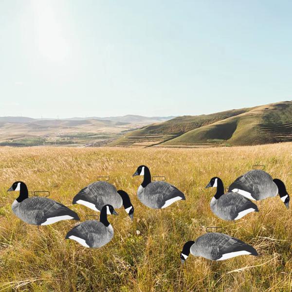 OEM ODM Plastic EVA Canada Snow Goose Decoy Upright / Feeder Style With Flocked Head