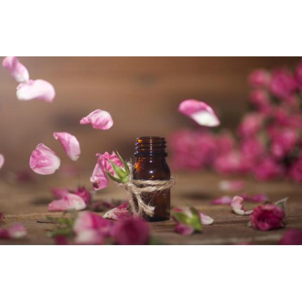 Concentrated Rose Carlotta Fragrance Oils Fragrance Essence 2.5kgs / Bottle