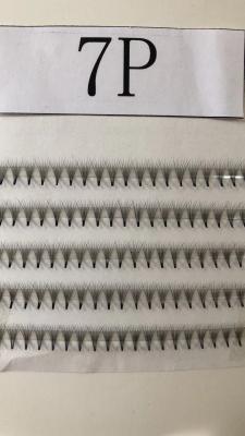 Pre Made Fans Silk Eyelash Extensions  5D 6D 7D 8D Customized Thickness