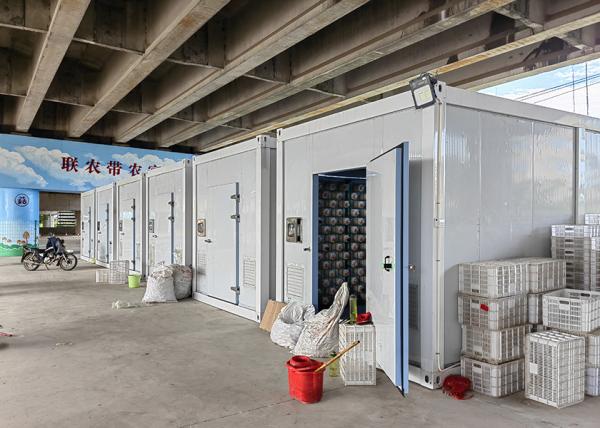 Single Span Greenhouse 20ft Agricultural Greenhouse For Mushroom Cultivation