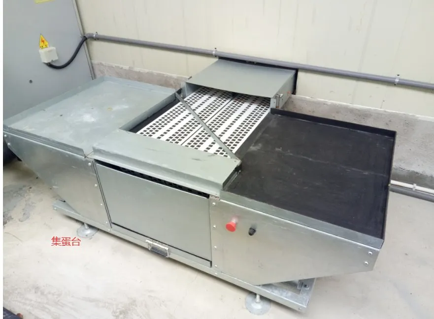 Commercial Fully Automatic Nest Box Poultry Farming Equipment Egg Collection Nest Box