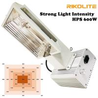 O ar de luz pro 600W da intensidade alta HPS cresce claro para a estufa