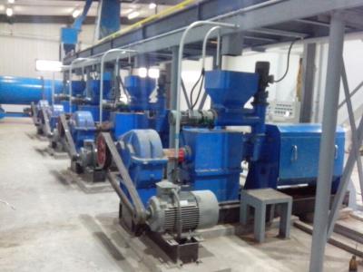Walnut Moringa Seed Oil Extraction  Machine