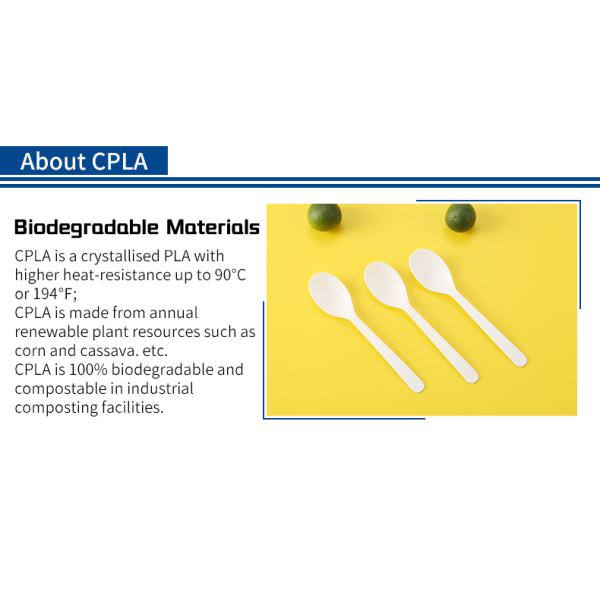 Sustainable CPLA Disposable Tasting Spoon Eco Friendly Mini
