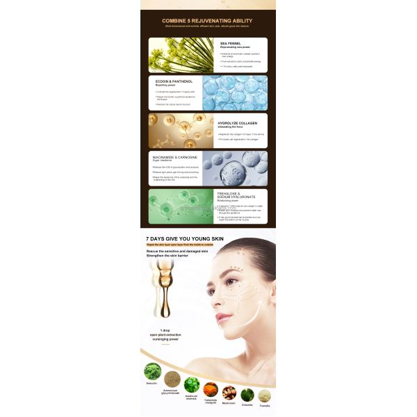 Wholesale Customized Anti-Aging Hyaluronic Acid Serum Moisturizing Face Anti-Wrinkle Repair Whitening Exclusive for Beauty