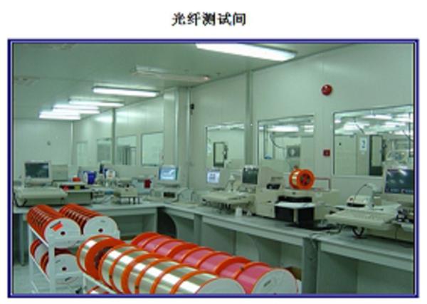 12 24 Cores Armoured Self Supporting Fiber Optic Cable GYXTC8S