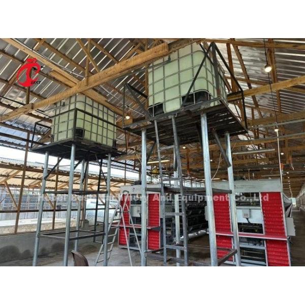 Electrical Q235 Poultry Battery Layer Chicken Cage System Steel Cage Doris