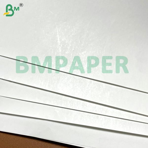 55g 80g 400mm 405mm 565mm White Thermal Paper Rolls for Lottery ATM Labels & Records 55g 80g 400mm 405mm 565mm Rollos de papel térmico blanco para los cajeros automáticos de lotería Etiquetas y registros