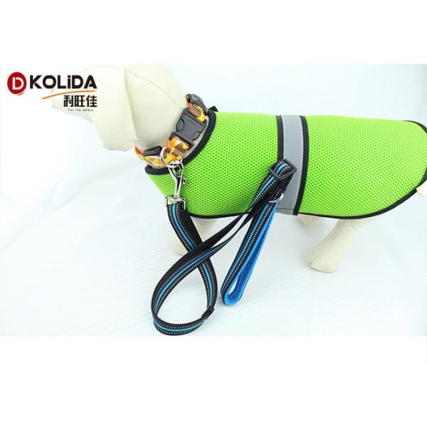 Eco - Friendly Fancy 6 Foot Nylon Dog Leash For Doggie Walking