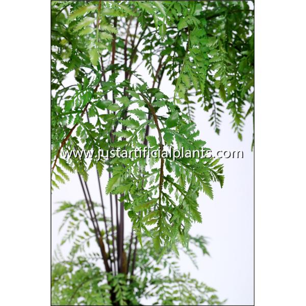 Наградное искусственное дерево папоротника, искусственный папоротник Майденхайр Хандкрафтед Асететик