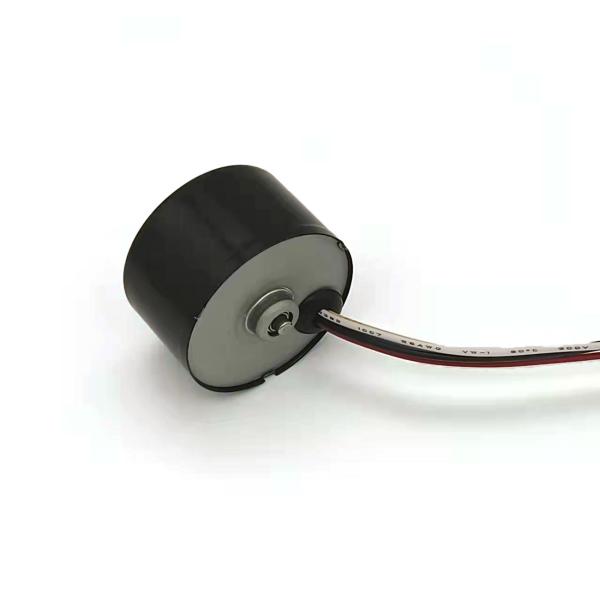 Faradyi Customized Specification 8000 rpm High Speed Micro Brushless Motor 36*25mm 12V 24V Built-in Driver DC  Motor