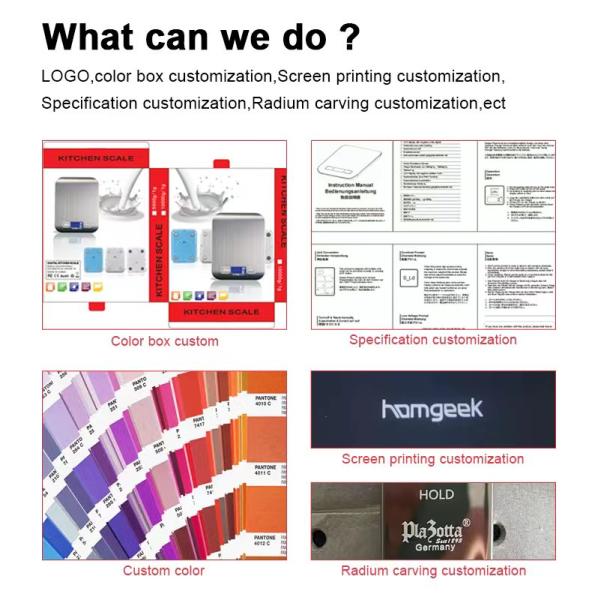 Mini Electronic Hanging Luggage Scale 50kg LCD Digital Weighing Scale Stainless Steel ABS Material OEM Small Hanging Scales