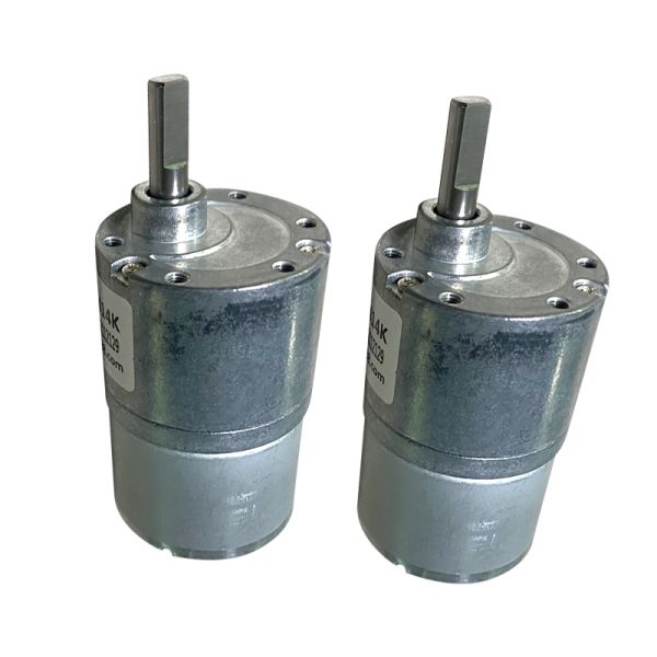 FT-37RGM3626 BL Electric Motor Silent 12V 24V Spur Gear Brushless Motor